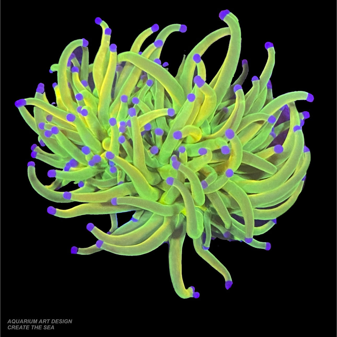 IMG_2700_2dde56cf-2a82-451a-