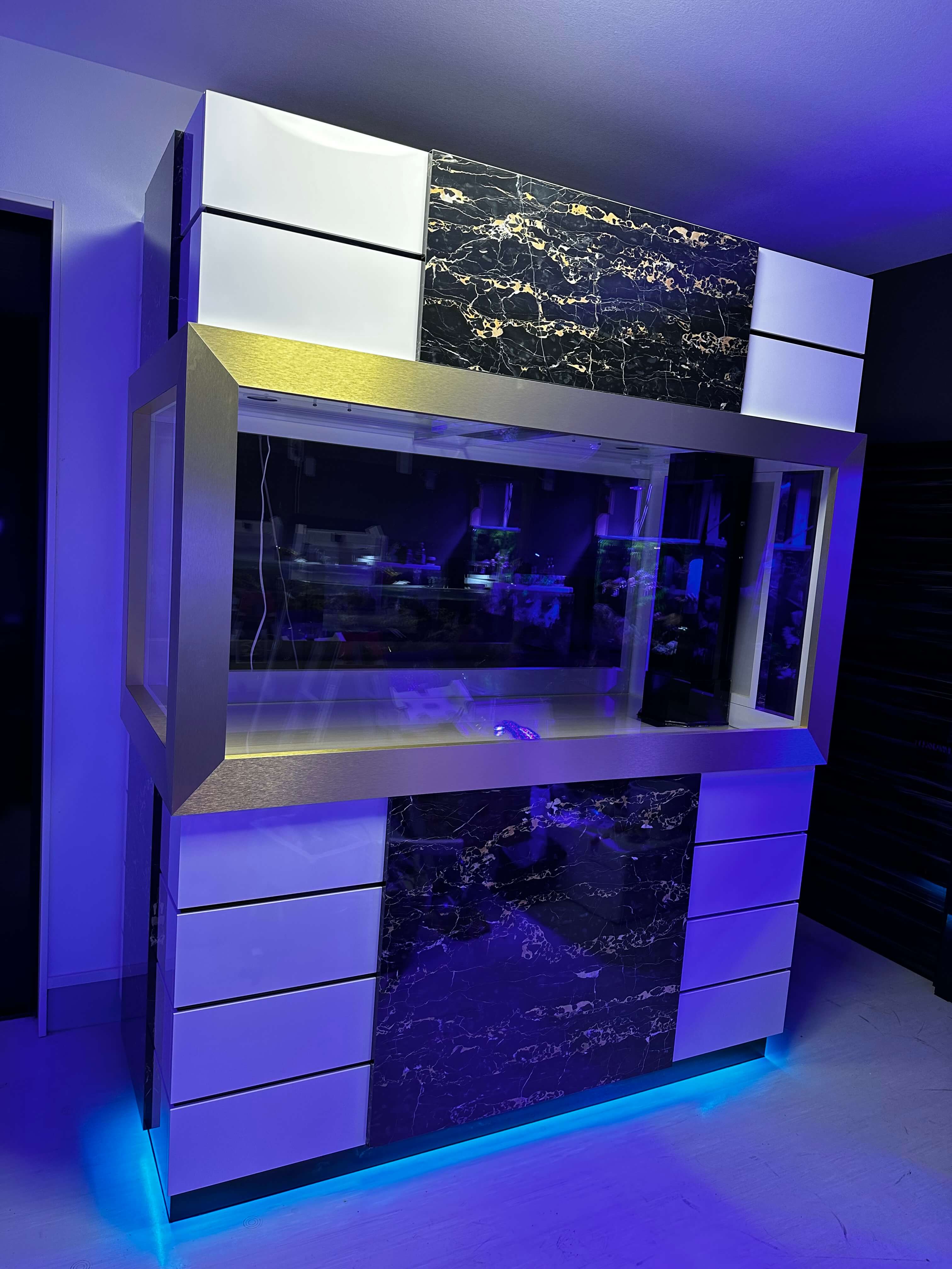 アクリル水槽 デメリット｜ガラス水槽との違いと後悔しない選び方