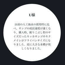 画像をギャラリービューアに読み込む, CREATE THE SEA SALT|日本製高純度人工海水・サンゴ海水魚向け