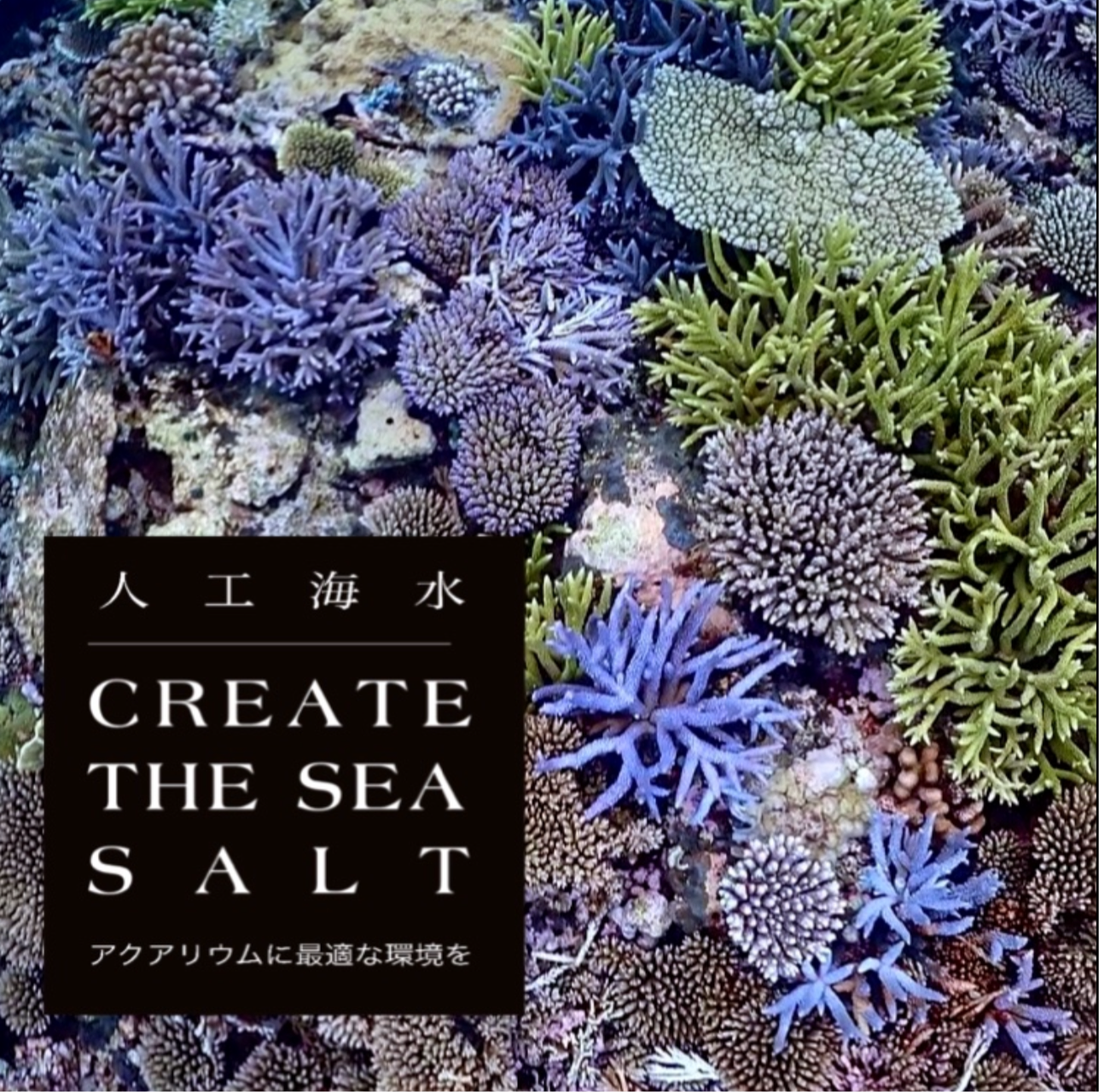 海を創る 人工海水 CREATE THE SEA SALT｜日本製高純度｜サンゴ・海水魚向け