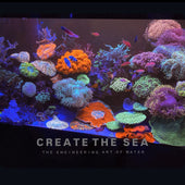 CREATE THE SEA 10周年 記事アイキャッチ｜高密度サンゴ礁レイアウトの海水魚水槽