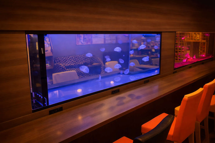 CREATE THE SEA Infomation – Aquarium Art Design CREATE THE SEA
