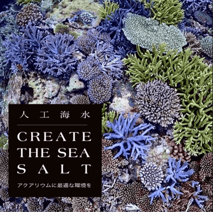 【2025年最新版】初心者でも安心！高品質人工海水「CREATE THE SEA SALT」と純水メーカーの最強コンビ