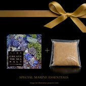 高級感あふれる黒背景にゴールドのリボンがあしらわれた、CREATE THE SEAのプレミアム人工海水「CREATE THE SEA SALT」とスペシャルマリンエッセンシャルの特別セット画像。