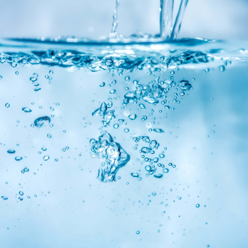 サンゴ飼育に添加剤は不要。CREATE THE SEAが「換水」を選ぶ本当の理由