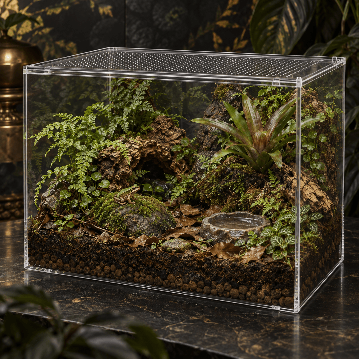 爬虫類ケージ・アクリル飼育ケース 40cm｜ECOTONE 40 – Aquarium Art