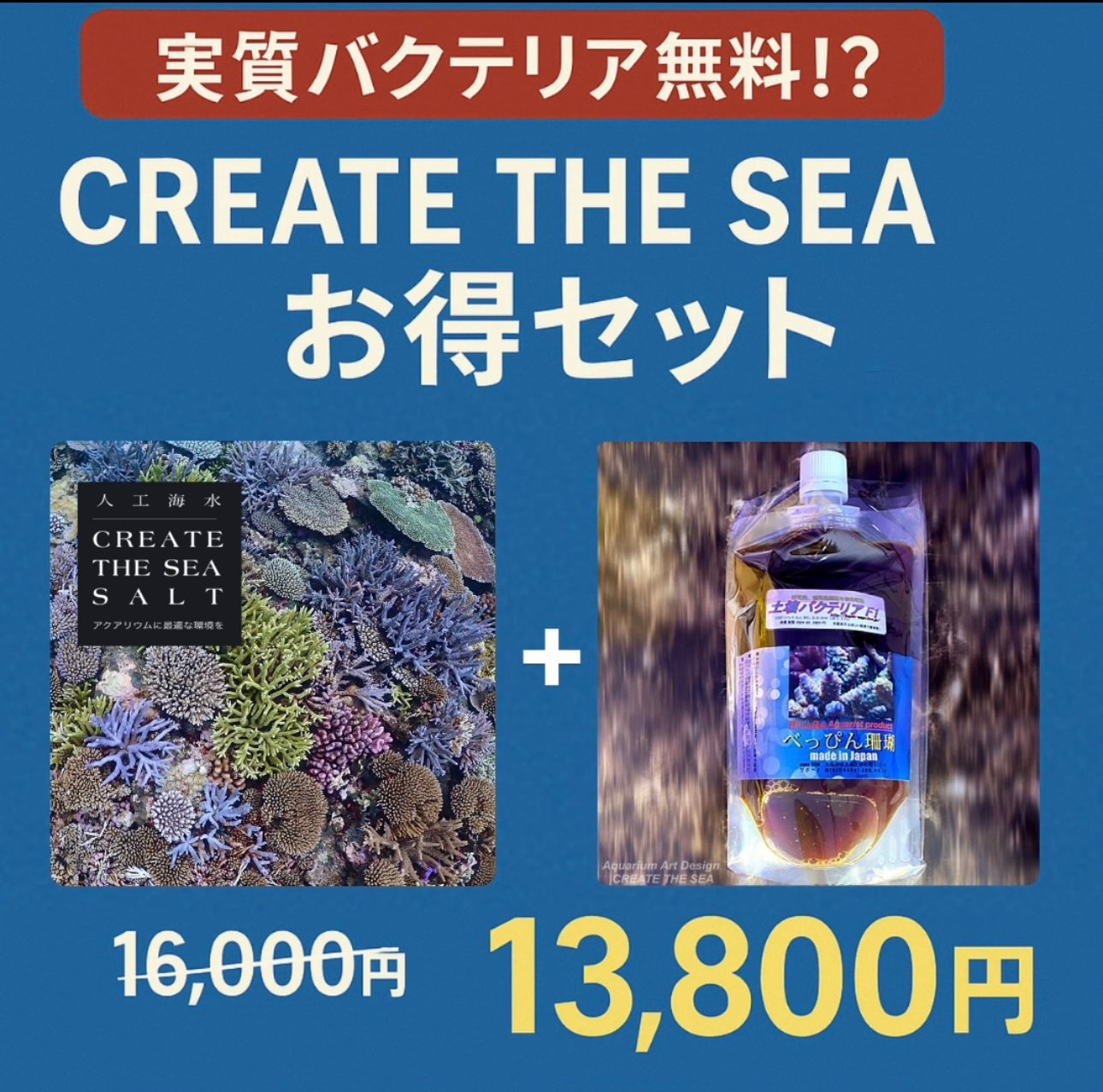 オーダーメイド水槽・大型水槽デザインの専門店｜CREATE THE SEA