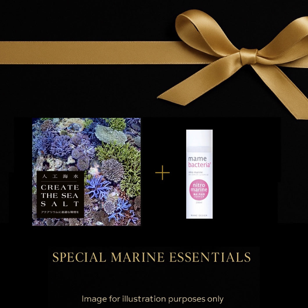 S P E C I A L  M A R I N E  E S S E N T I A L S
— LIMITED EDITION —